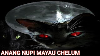 Anang Nupi Mayau Chelum!!!