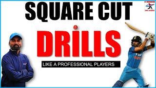 HOW TO DO DRILLS FOR CUT SHOT OR SQUARE CUT IN BATTING | CRICKET TECHNIQUE | TIPS | HINDI