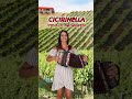 irma di benedetto suona cicirinella tarantella abruzzese con l organetto diatonic button accordion