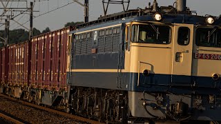 1092レ EF65 2067+コキ 亀崎(モノサク)通過