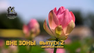 ВНЕ ЗОНЫ  День Лотоса