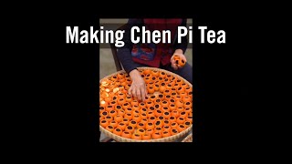 Making Chen Pi Cha – Mandarine-Stuffed Tea