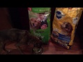 purina dog chow complete review