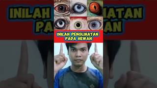 BAGAIMANA HEWAN MELIHAT DUNIA