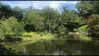 [散歩] 有栖川公園 (広尾) | Arisugawa Park - Hiroo Tokyo [Video Walk]