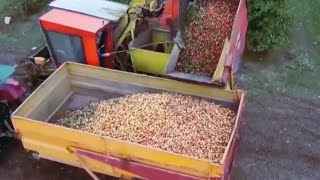 This is how Apple Juice is being processed in factory