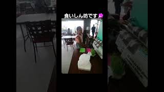 🇯🇵 熊本県水俣市🚀👺🔦👪💐『何も言えなくて...盆と正月🍡📣💡🎆💖～』