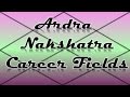 Ardra Nakshatra Career/Professions (Vedic Astrology)