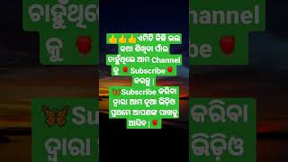 🦋ସମସ୍ୟା ଯେତେ ବି ବଡ଼ ହେଇଥାଉ...|🦋ଭଲ ମଣିଷଟିଏ ହେବା ପାଁଇ ଚାହୁଁଛନ୍ତି କି ? ତାହାଲେ ଦେଖନ୍ତୁ |🦋V - 78🦋 #shorts