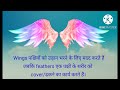 difference between wings and feathers पर और पंख में अंतर जानिए इस वीडियो में @kidsstartstudy