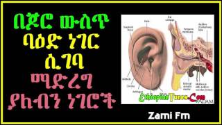 በጆሮ ውስጥ ባዕድ ነገር ሲገባ ማድረግ ያለብን ነገሮች