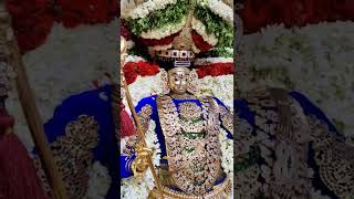 Triplicane Sri Anbupuri Amman temple Aadi Brahmotsavam 2022 Day 7 | Uma Maheshwarar Alangaram