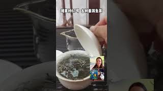 测评谁是普洱茶销售直播第一名？ #普洱茶批发茶农直销 #普洱茶直播 #普洱茶品牌 #普洱茶的冷知识 #喝茶有講究，喝茶步驟，wechat：zcj049 #召唤茶友?#喝茶?#普洱茶