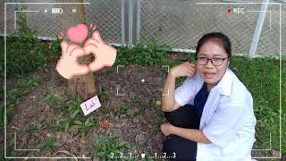 ทักษะทางวิทยาศาสตร์ (การสังเกต) - วิทย์ฯ ป.6 (Science Genius) @teacher.pond.pv.การศึกษา