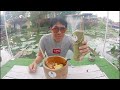 ก๋วยเตี๋ยวต้มยำไผ่ยักษ์ by ปุบปับทัวร์