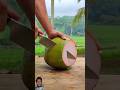 #Pink Beautiful Coconut 🥥🏝️#Shorts#viralvideo #satisfying #fruitcuttingskills #trending#shortfeed