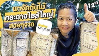 กระถางต้นไม้ 12 นิ้ว จาก index living mall จัดต้นไม้ก็มินิมอล ประดับบ้านก็โก้  | SUANSOM EP.40