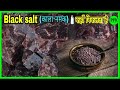 Black salt 🧂(काला नमक) कैसे बनता है😱/#short#fact#blacksalt#pot.