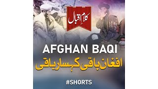 Afghan Baqi Kuhsar Baqi - Mugheera Haider - Peace Studio - Peace Studio #shorts