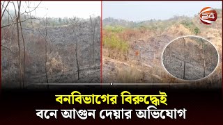 আগুনে পুড়ে ছাই কয়েক হাজার গাছ, নষ্ট হয়েছে প্রাণীদের খাবার ও বাসস্থান | Moulvibazar | Forest