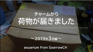 荷物が届いたよ 2019年3月