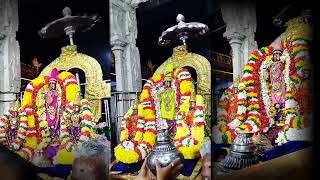 சனிக்கிழமை வரதராஜ பெருமாள் தரிசனம். 🙏🙏🙏