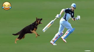 Top 7 Funny Animal Attacks In Cricket History Ever