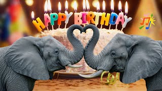 Real Elephants Celebrate Your Birthday! 🎶🐘 Happy Birthday Song 🎉