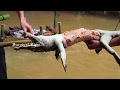 Download Primitive Technology: Cooking Big Crocodile in the Forest For Food | Roasted Crocodile By Waterwheel In Mp4 3Gp Full HD Video