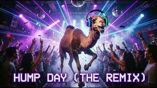 Happy Hump Day! 🐫 | The Ultimate Dance Remix of the Best Hump Day Song!