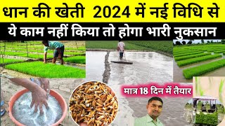 धान की नर्सरी 100% अंकुरित कैसे करें  | धान की खेती | Dhaan ki kheti kaise karen | Paddy farming