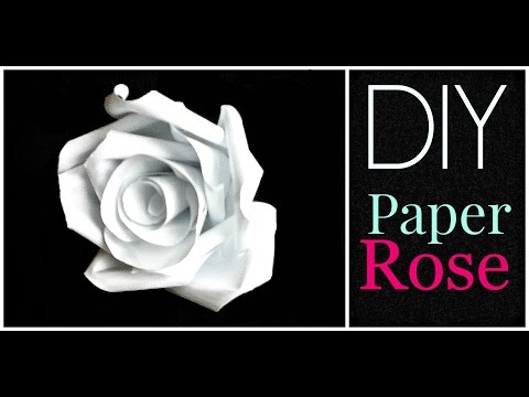 DIY: How to make a Paper Rose! DIY: How to make a Paper Rose!