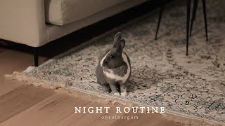 Rabbit BAM, Night Routine.🐰🌙 | oneulnargum | VLOG