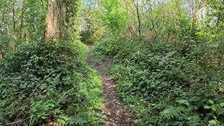 Binnendoor naar het halve zolenlijntje - Wandeling (3,2 km) door de Moerputten - 's-Hertogenbosch