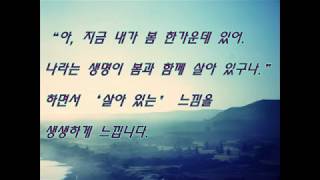 행운은 반드시 아침에 찾아온다 - 마스노 슌묘 지음/부윤아 옮김