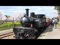 小湊鐵道　桜と菜の花が咲く里山を走るトロッコ列車の車窓