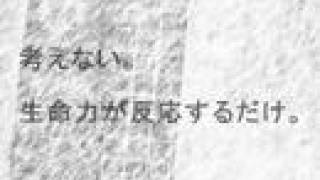 『ドラマで泣いて、人生充実するのか、おまえ。』 写真とテキスト・きつかわゆきお　音楽＝四本淑三