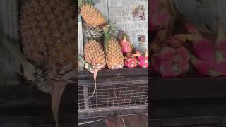 ചെറിയ പഴക്കട💖#fruit #fruits #shop #small #viral #youtube #youtubeshorts #shortsfeed #shorts #short