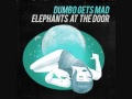 Dumbo Gets Mad - Why Try?