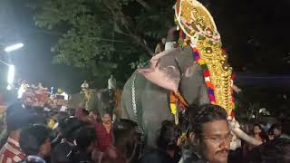 thrikadavoor sivaraju|mukhathala sreekrishna swami temple| thiruabhara  maholsavam😍