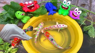 Sharks find toys on the sand, koi fish, lobster, turtle, snake, octopus, among us - Part309