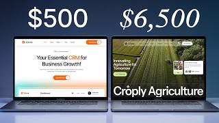 What Makes Expensive Websites Expensive