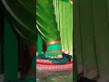 PACHAIAMMAN 🔥🔥 TAIPING #taiping #god # temple #pachaiamman #green