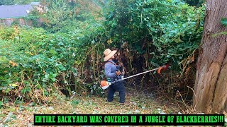 ELDERLY CLIENT LOST HER BACKYARD TO BLACKBERRIES!! Stihl FS-240 Brush Cutter #satisfying #stihl