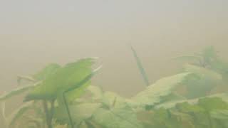 Flooded Cricklade - Underwater on the flooded banks of the river Thames