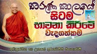 තරුණ කාලයේ සිටම භාවනා කිරීමේ වැදගත්කම  | ven na uyane ariyadhamma thero