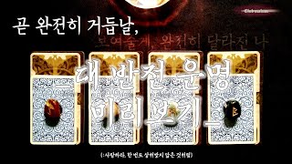 [타로카드] ‘곧 완전히 거듭날 당신의 새로운 시작.’ {:사랑하라, 한 번도 상처받지 않은 것처럼}