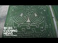 A look at how a massive corn maze is built