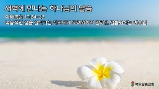 마태복음 10:24-33 / 복음적인 삶을 살아가는 제자들에게 두려워하지 말라고 말씀하시는 예수님