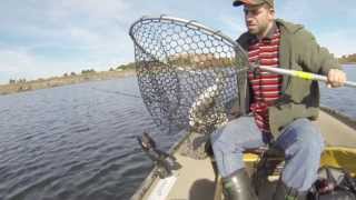 Fall trolling rainbow trout